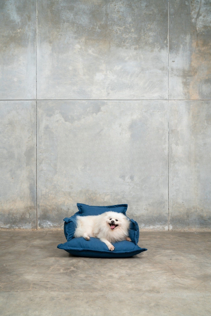 Pet lounge - Blue dog bed - Larkwood Furniture