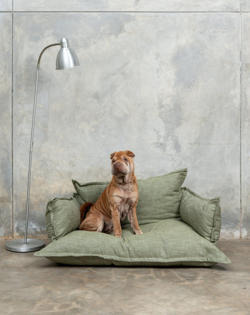 Pet lounge - Green dog bed with sharpei - Larkwood Furniture