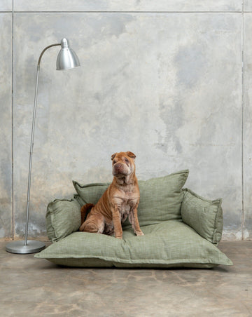 Pet lounge - Green dog bed with sharpei - Larkwood Furniture