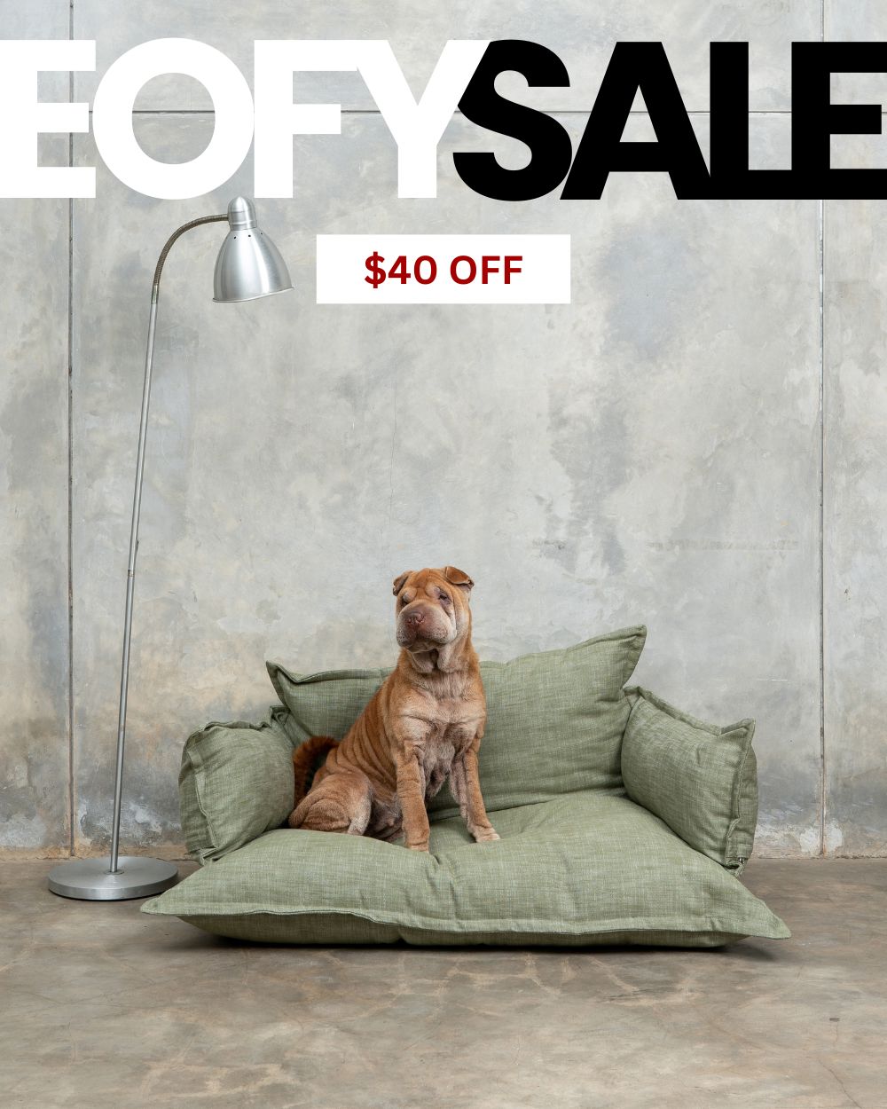 Pet Lounge